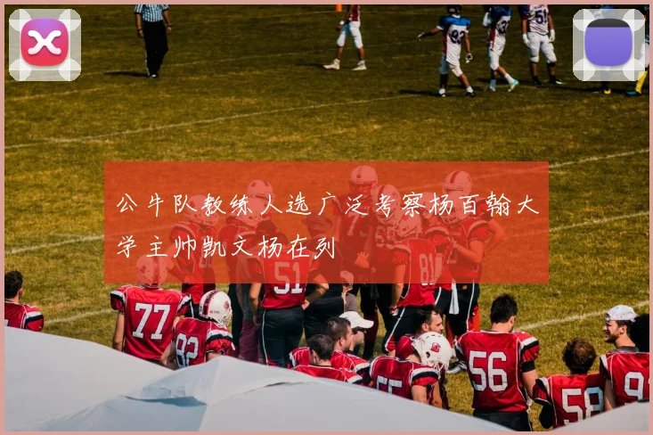 公牛队教练人选广泛考察杨百翰大学主帅凯文杨在列
