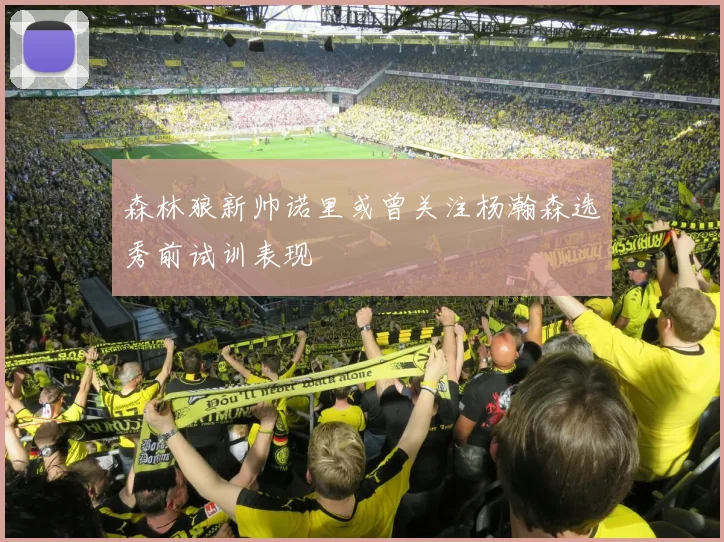 森林狼新帅诺里或曾关注杨瀚森选秀前试训表现